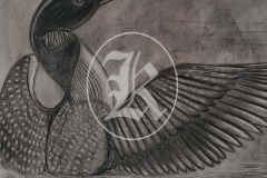 Birds-3-2