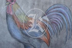 Birds-4-2
