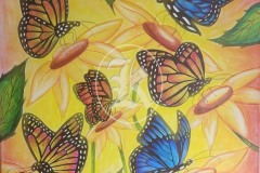 Butterflies-1