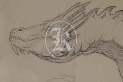 Dragon-1