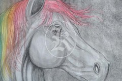 Horse-1