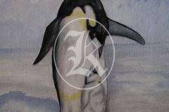 Penquins-1