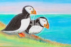 Puffin-1