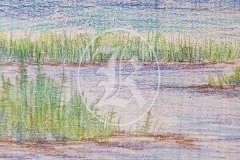 Scenery-2-1