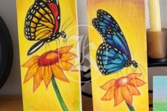 WA-butterfly-2