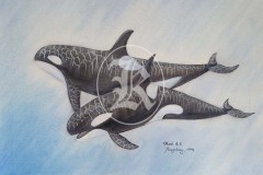 Whales-1