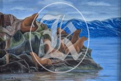 walrus-1