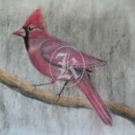 bird 17
