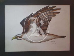 birds 2