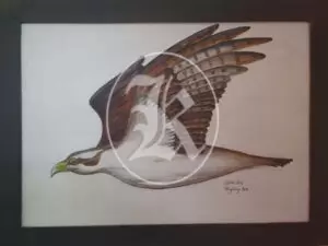birds 2